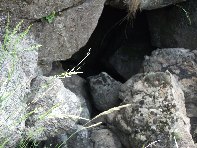otta di Serra Pizzuta-20100602 159